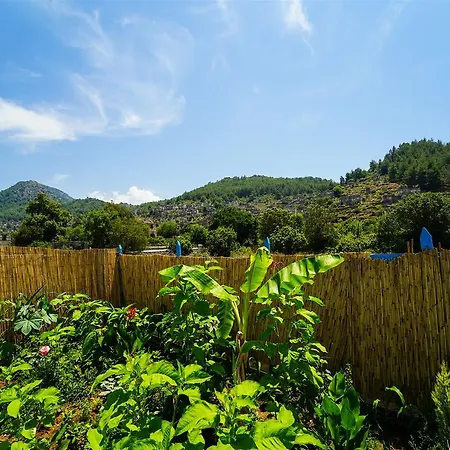 Ikiz - Kayakoy'de Kiralik 2+1 Muhafazakar Fethiye