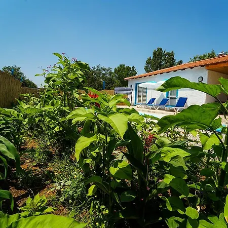Ikiz - Kayakoy'de Kiralik 2+1 Muhafazakar * Fethiye